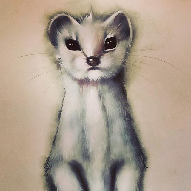 Sketching a little stoat!